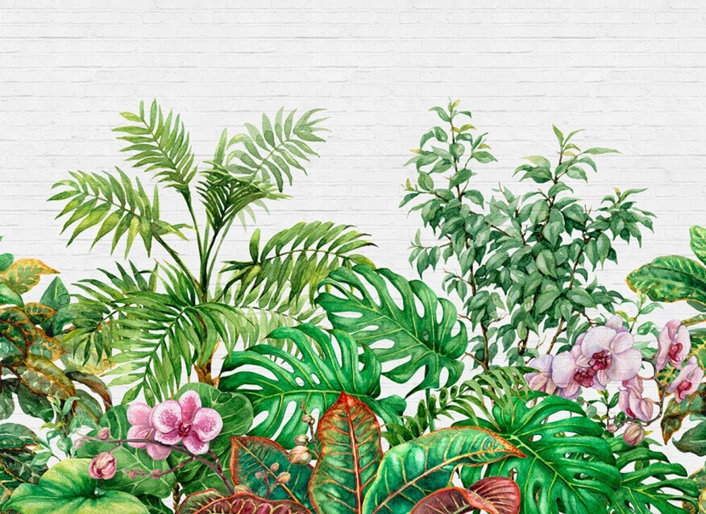 Luxusné fototapety DD118530, Tropické rastliny, 350 x 255 cm