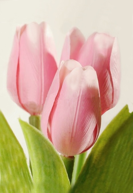 Dekoračný umelý kvet - Tulipán svetloružový 40 cm