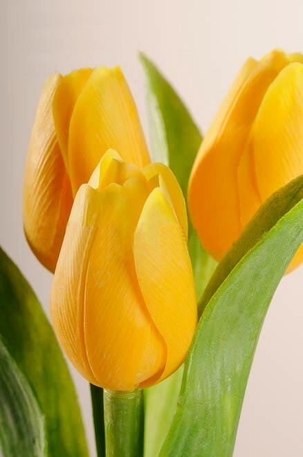 umelý kvet - Tulipán žltý 40 cm