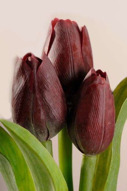Dekoračný umelý kvet - Tulipán temnečervená 40 cm