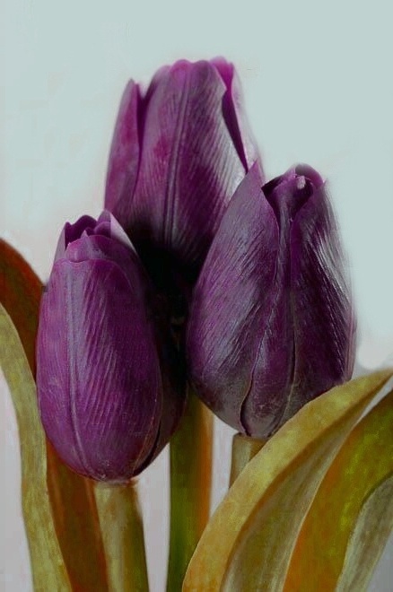 Dekoračný umelý kvet - Tulipán fialový tmavý 40 cm