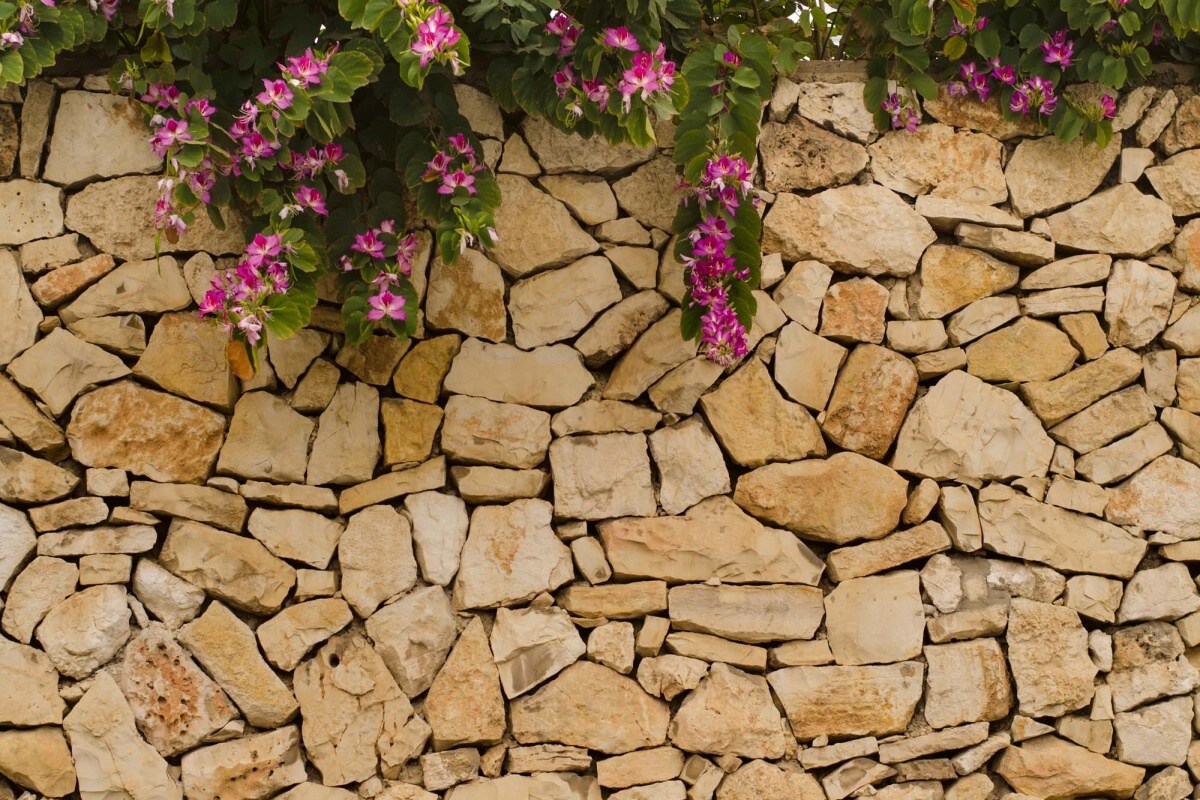 Fototapeta MS-5-2382 Kamenná stena s kvetmi 375 x 250 cm
