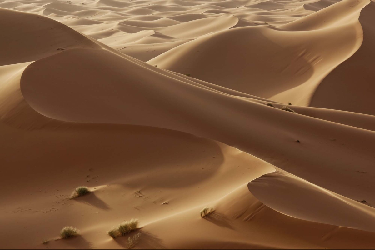 Fototapeta MS-5-1836 Saharské duny 375 x 250 cm
