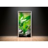 Fototapety na dvere - Zen rastlinka 95 x 210 cm