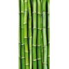 Fototapety na dvere - Bambus 95 x 210 cm