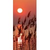 Fototapeta na dvere DL-013 Západ slnka s tŕstím 95 x 210 cm
