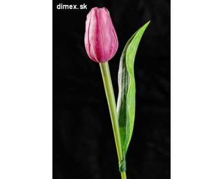 Dekoračný umelý kvet - Tulipán ružovo biely 40 cm