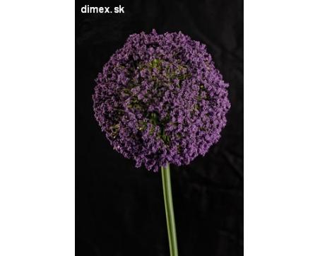 Dekoračný umelý kvet - Cesnak fialový 65 cm