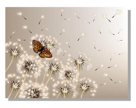 Obrazy na plátne Dimex - Púpavy s motýľom 100 x 75 cm