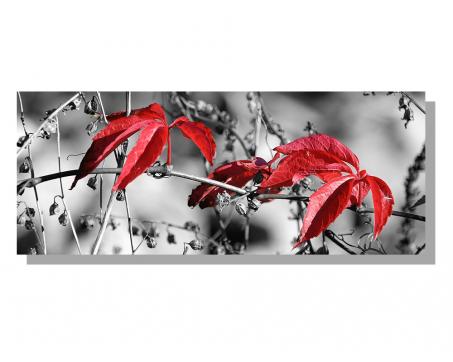 Obrazy na plátne Dimex - Červené listy v šedom 100 x 40 cm