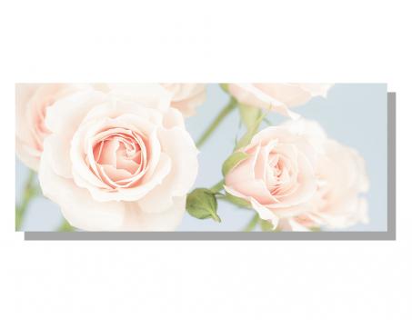Obrazy na plátne Dimex - Ruže 100 x 40 cm