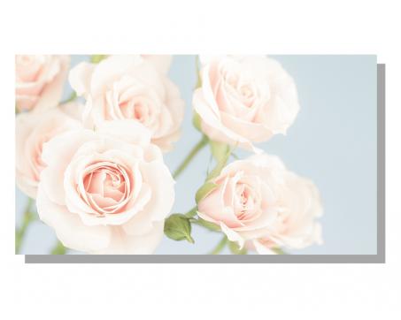Obrazy na plátne Dimex - Ruže 90 x 50 cm