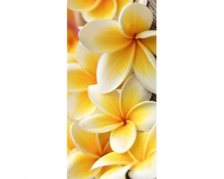 Fototapeta S-479 Žlté kvety - Plumeria 110 x 220 cm 