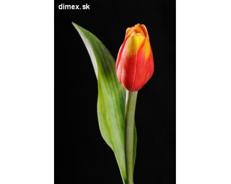 Dekoračný umelý kvet - Tulipán červeno žltý 40 cm