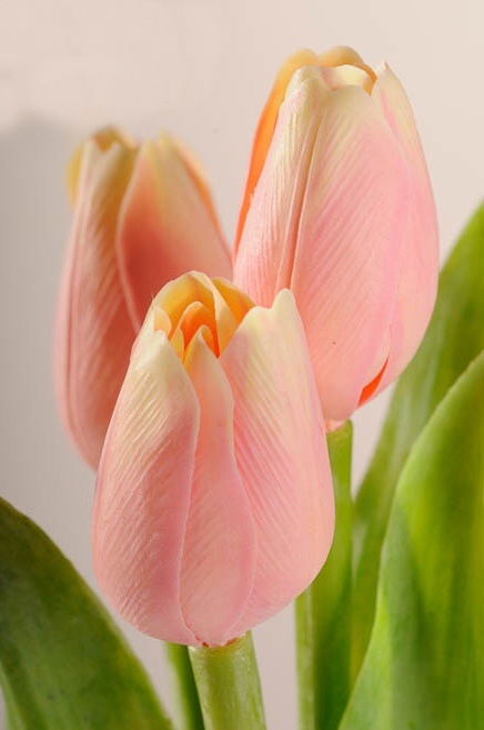 Dekoračný umelý kvet - Tulipán broskyňový 40 cm