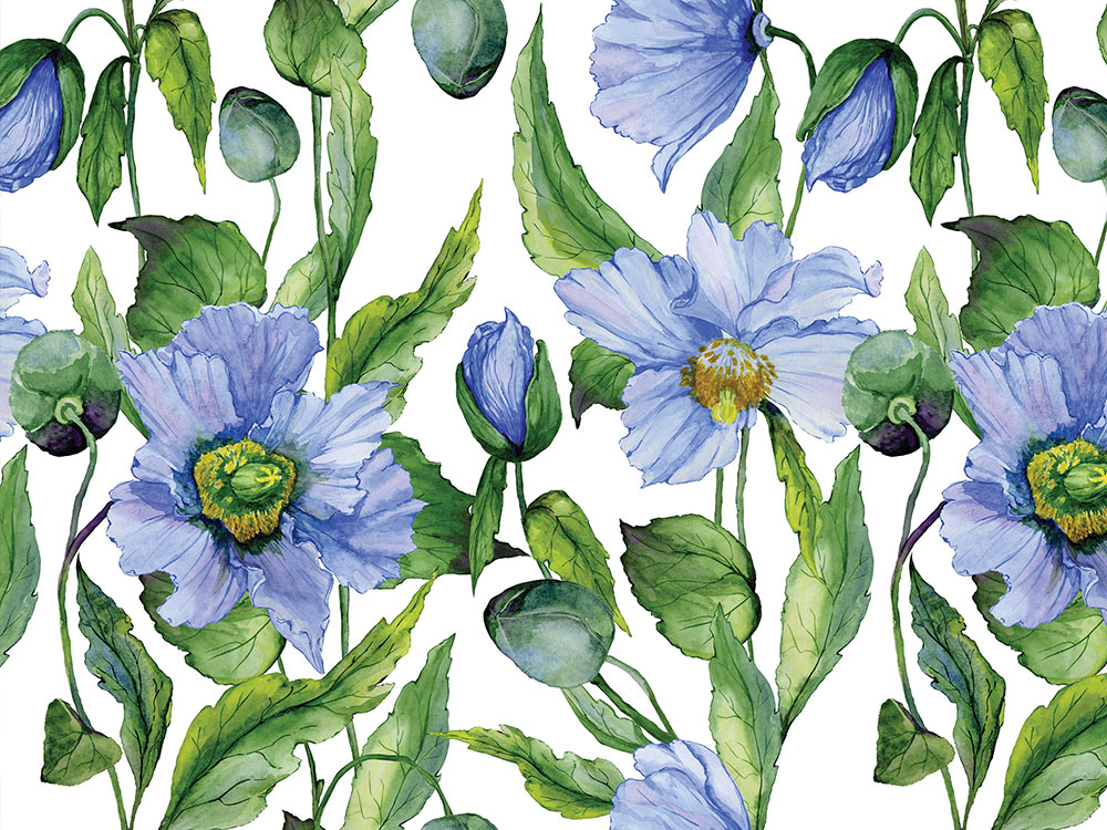 Digitálne vliesové tapety WP-235-01 Modré kvety