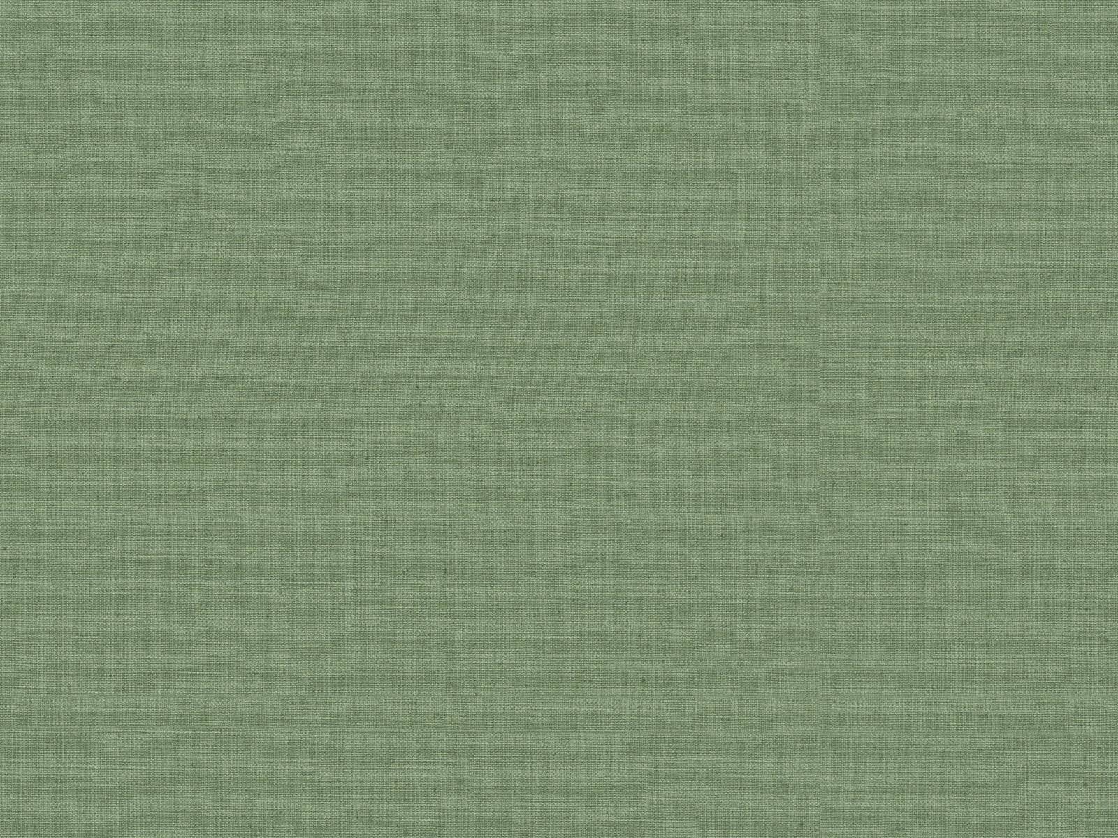 Vliesová tapeta s prirodzenou textilnou štruktúrou v zelenej farbe, ER-601637