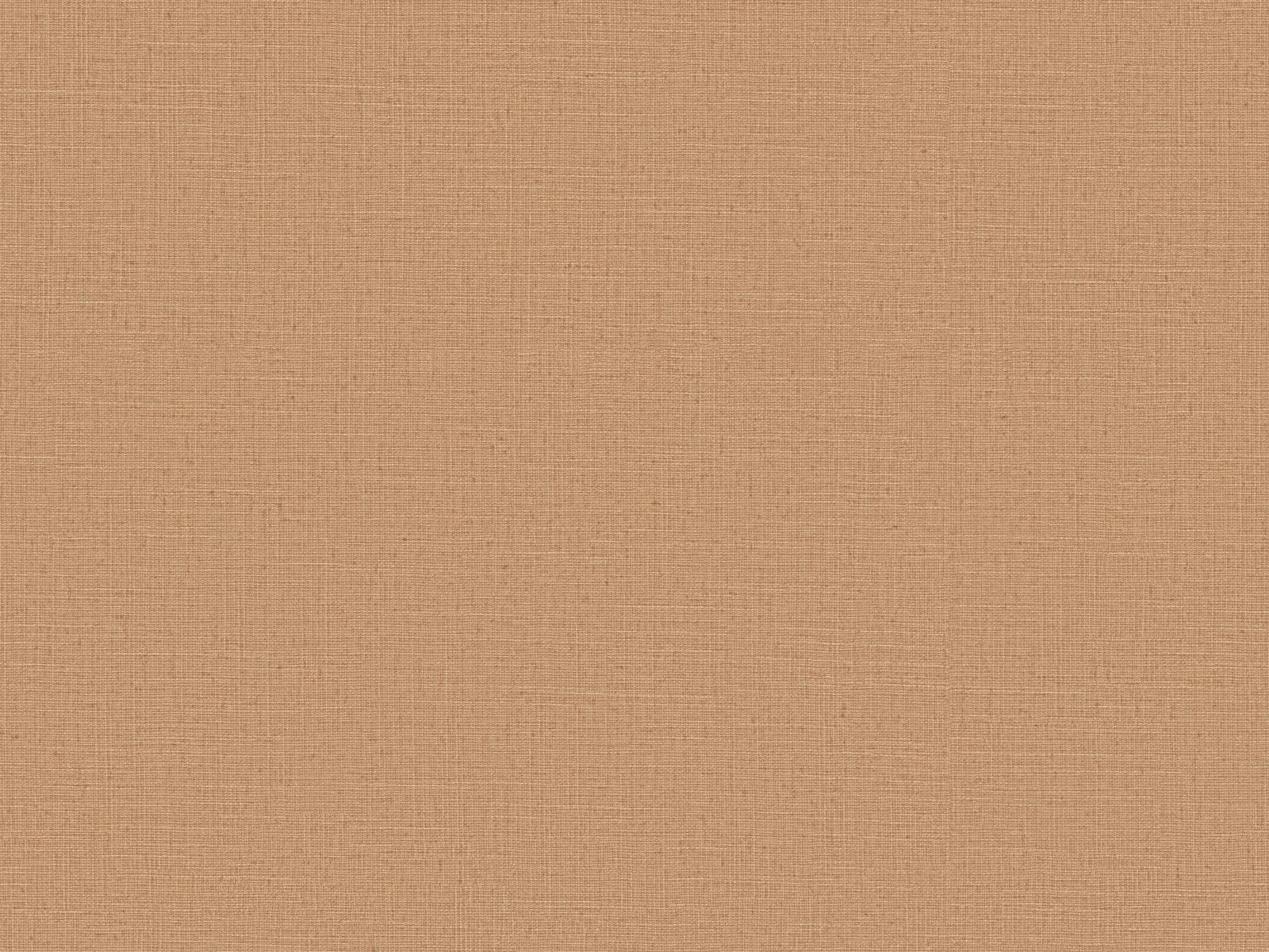 Vliesová tapeta s prirodzenou textilnou štruktúrou v svetlo-hnedá farbe, ER-601640