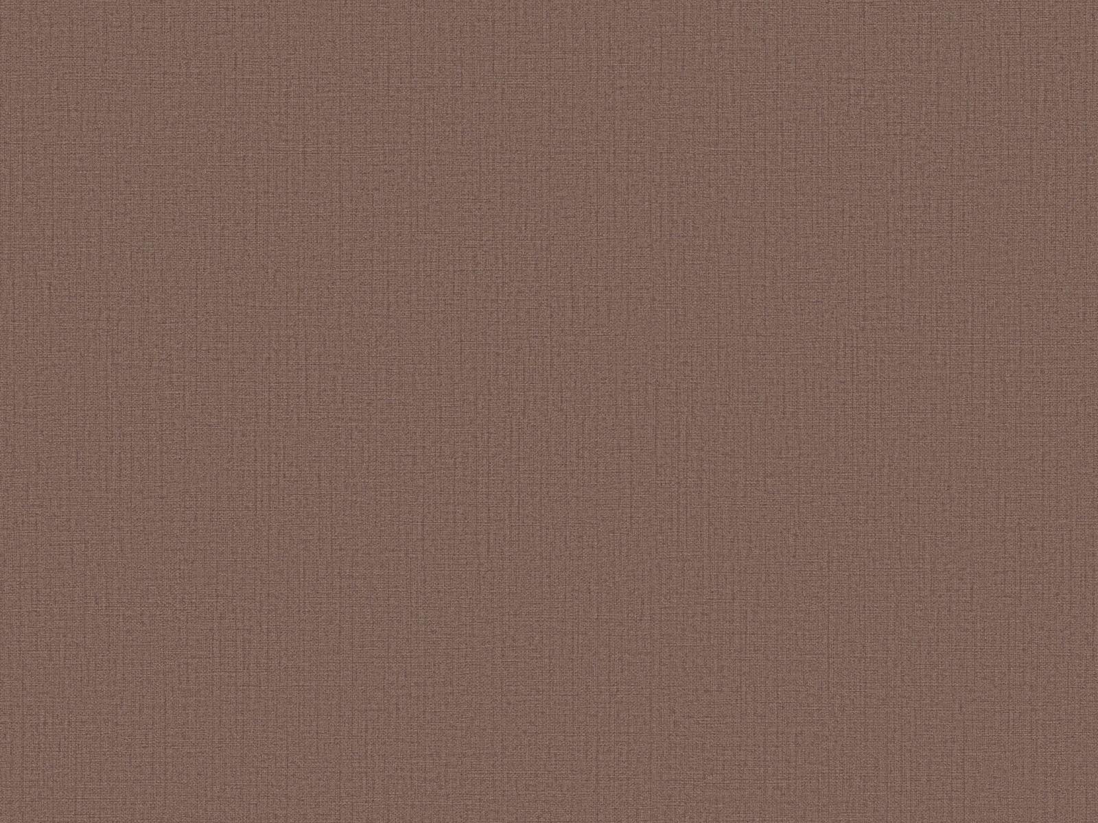 Vliesová tapeta s jemnou naturálnou hnedou štruktúrou, ER-601465