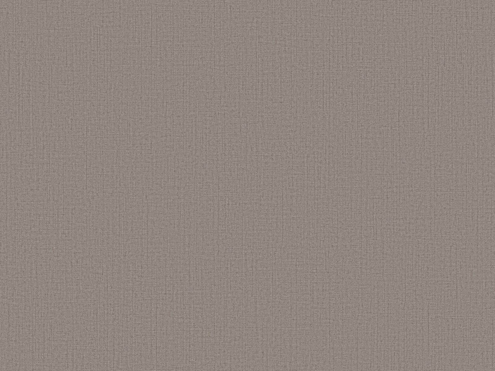 Vliesová tapeta s jemnou hnedo-šedou štruktúrou, ER-601474