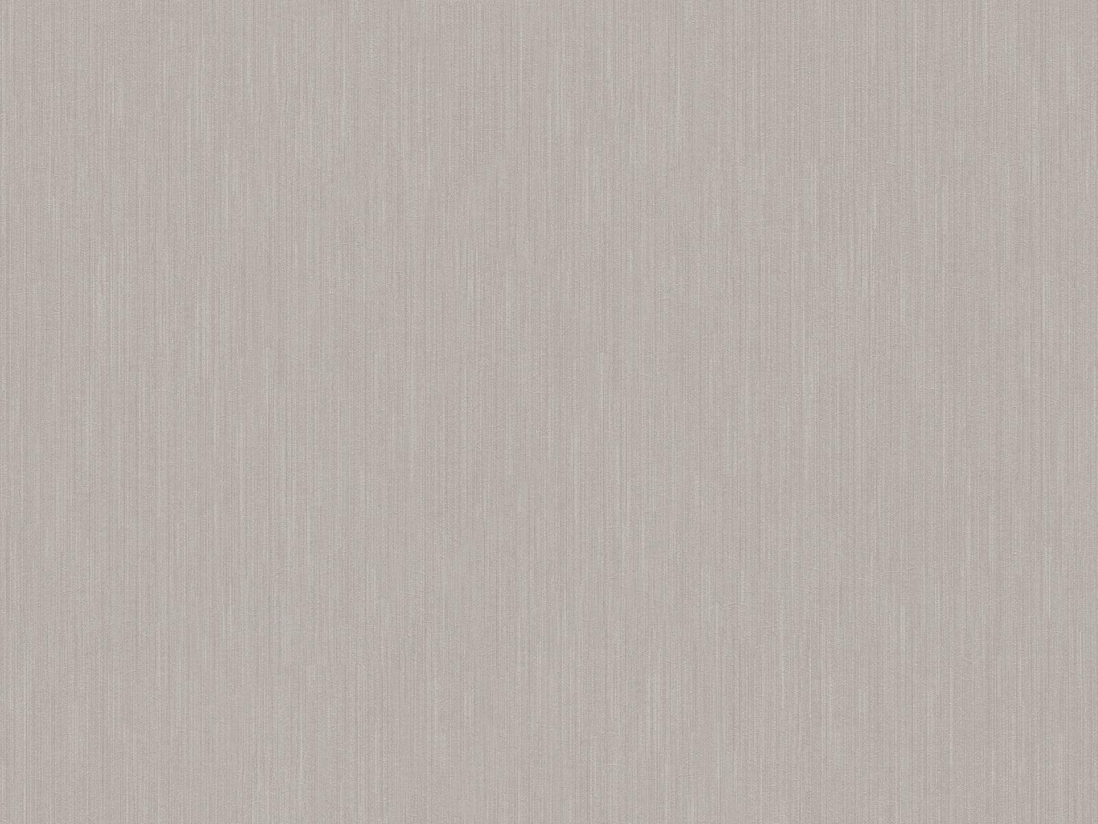 Vliesová tapeta v svetlo hnedej farbe s jemne trblietavým pásikom, ER-601124