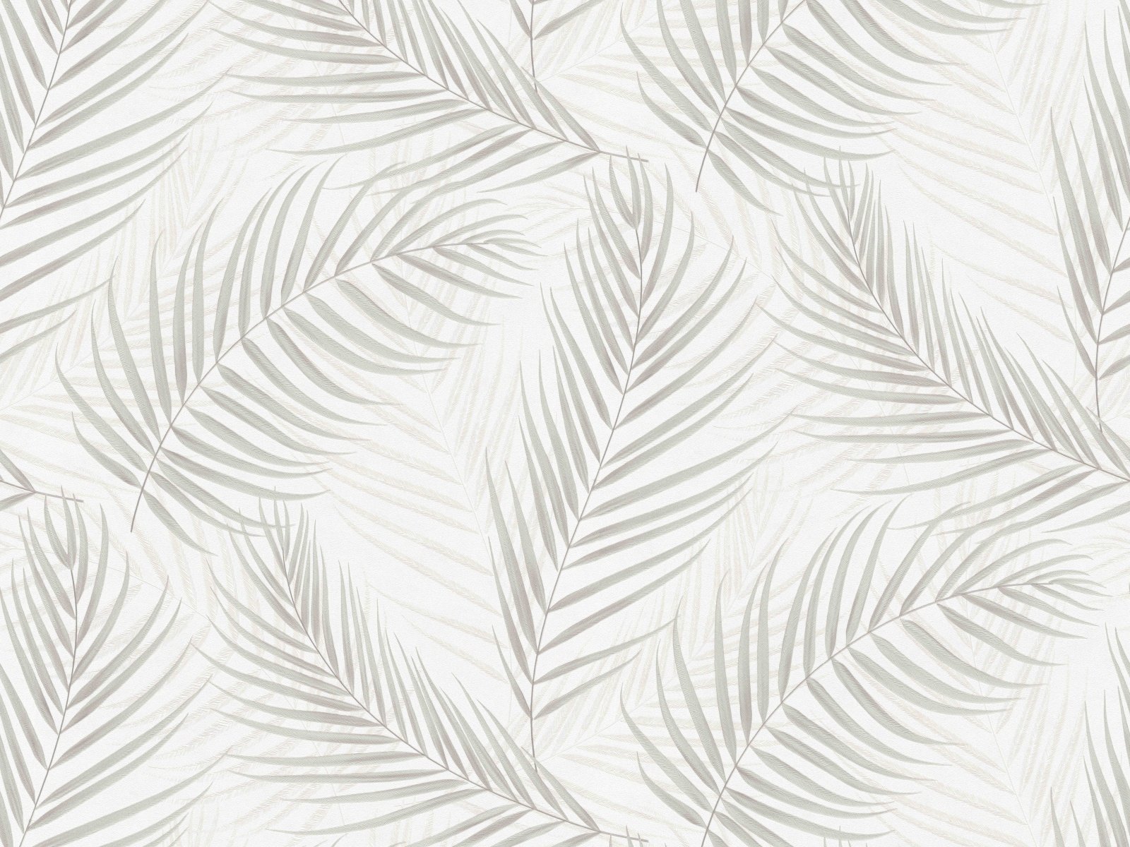 Moderná tapeta s veľkorysími palmovými listami s pôsobivou súhrou svetla a tieňa v svetlo šedej farbe, ER-601498