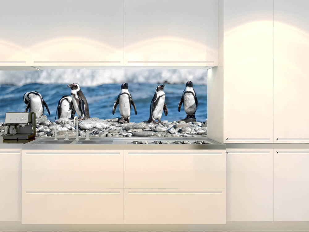 Fototapeta do kuchyne KI-180-112 Tučniaky 60 x 180 cm