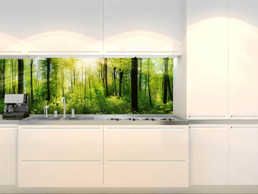 Kuchynská zástena z akrylátového skla - Slnečný les