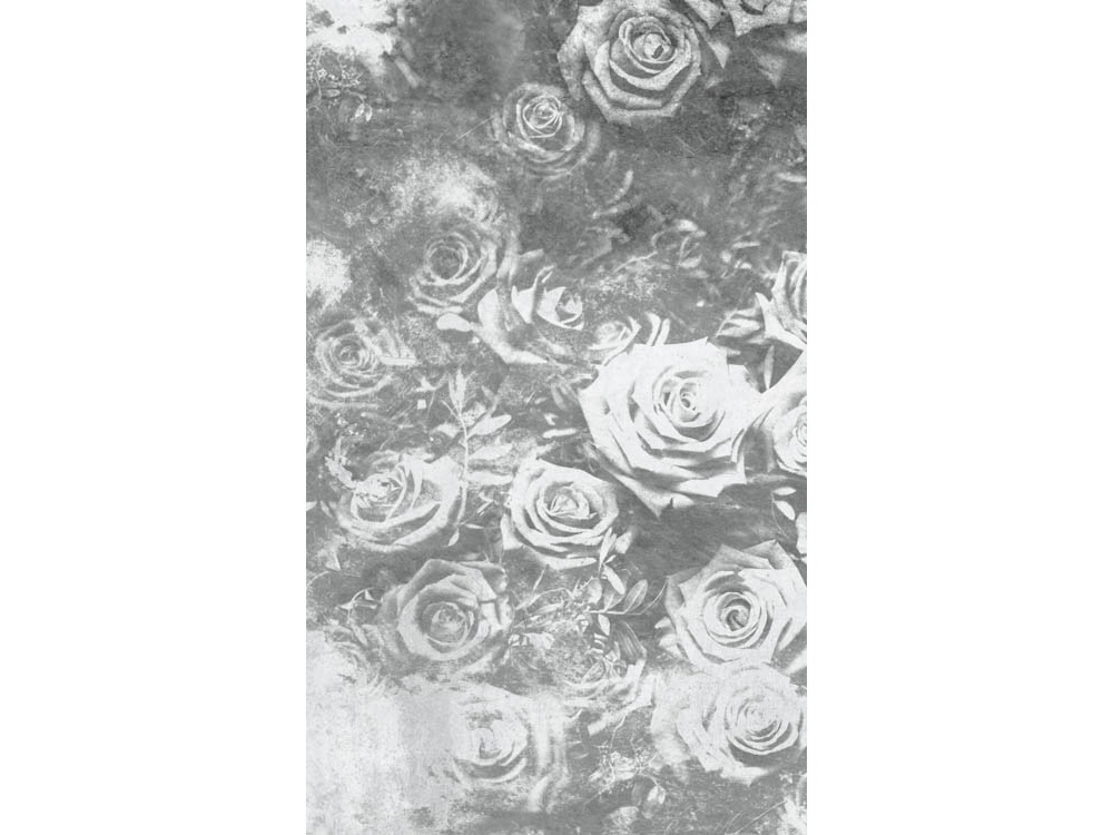 Fototapeta ART MS-2-0378 Ruže v čiernom 150 x 250 cm