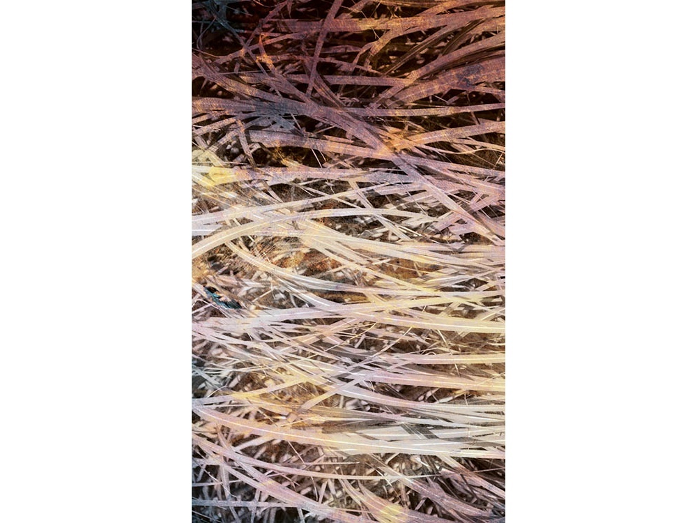 Fototapeta ART MS-2-0381 Abstrakt slama I 150 x 250 cm