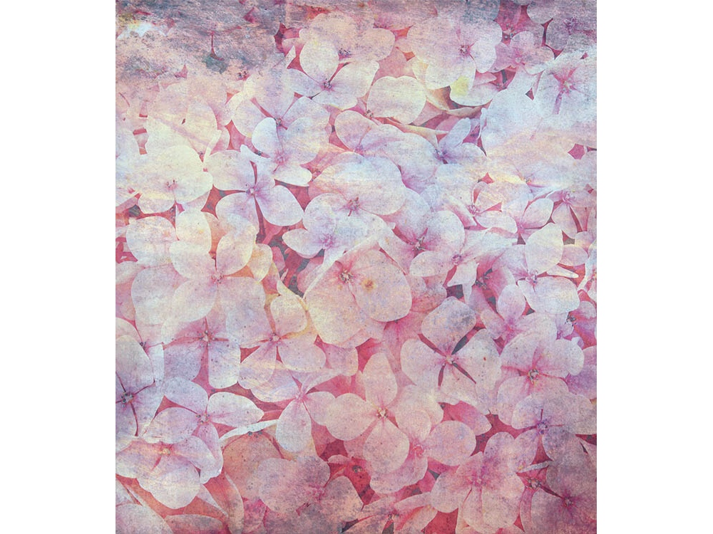 Fototapeta ART MS-3-0354 Kvety jablone I 225 x 250 cm