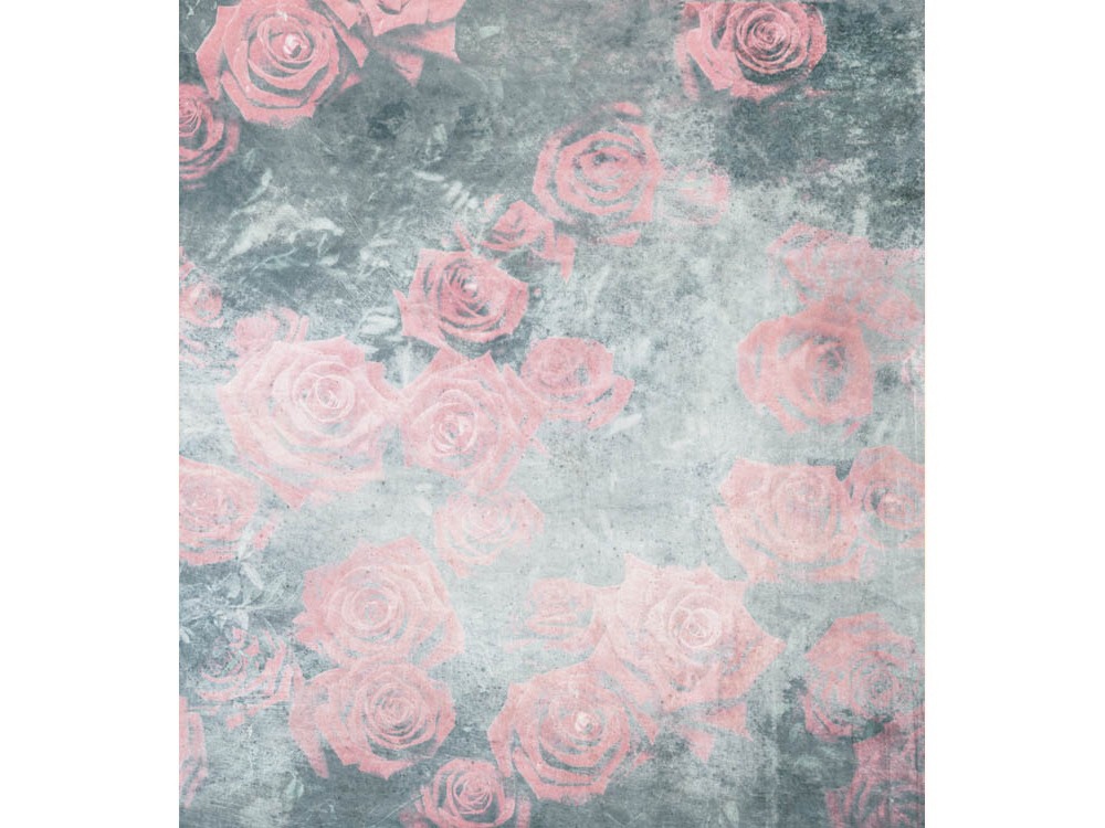Fototapeta ART MS-3-0377 Ruže v šedom 225 x 250 cm