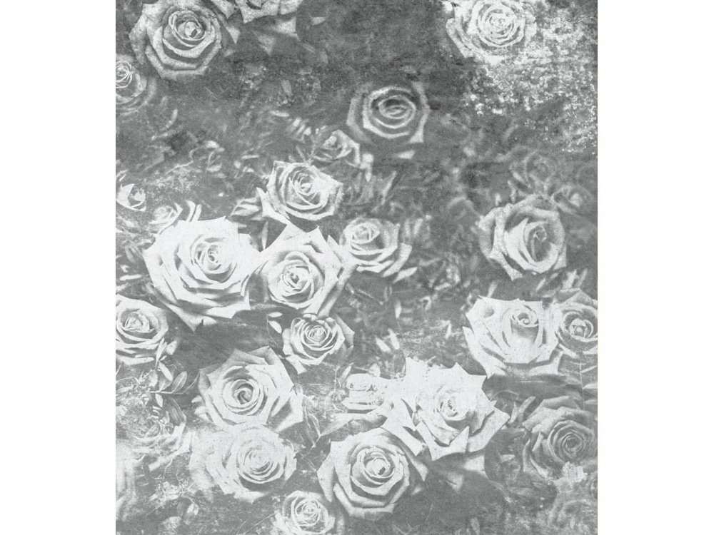 Fototapeta ART MS-3-0378 Ruže v čiernom 225 x 250 cm