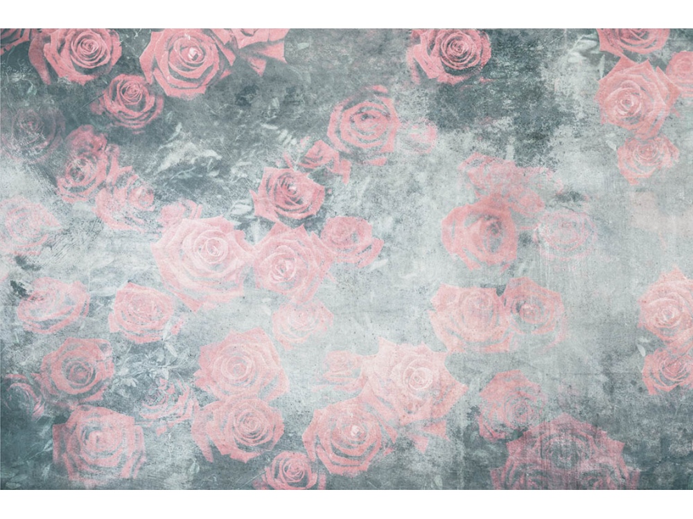 Fototapeta ART MS-5-0377 Ruže v šedom 375 x 250 cm