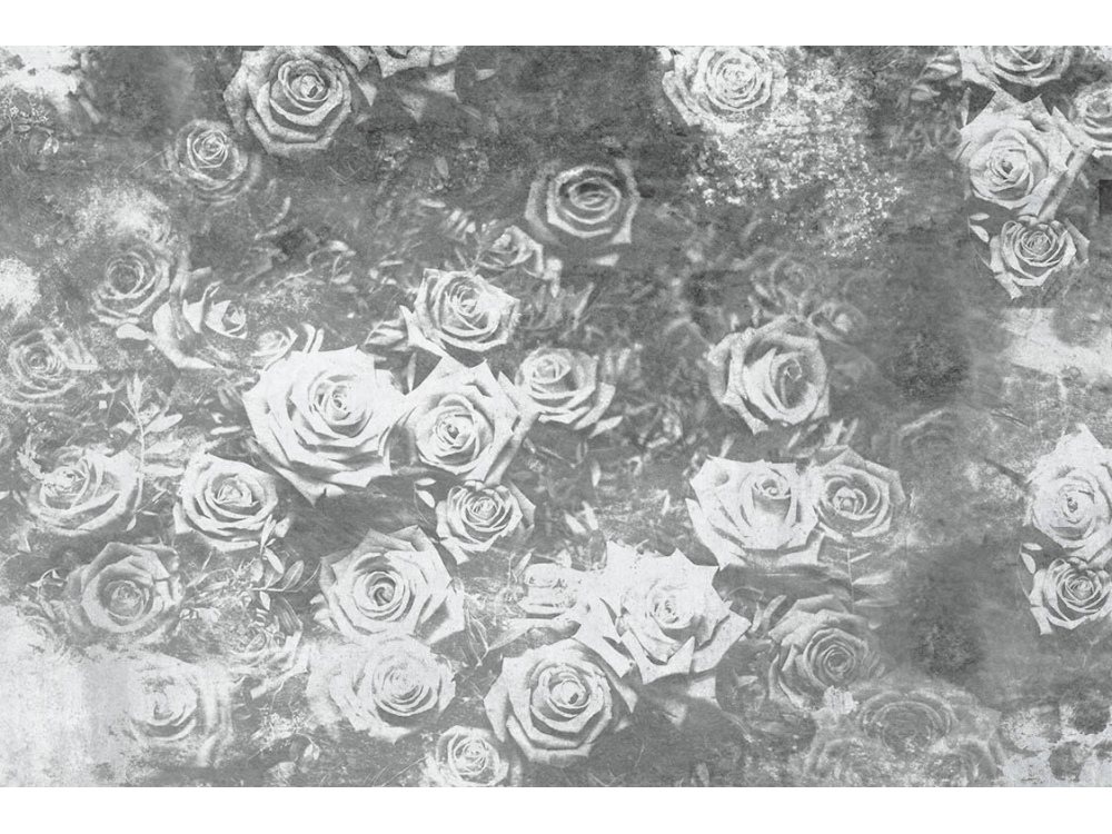 Fototapeta ART MS-5-0378 Ruže v čiernom 375 x 250 cm