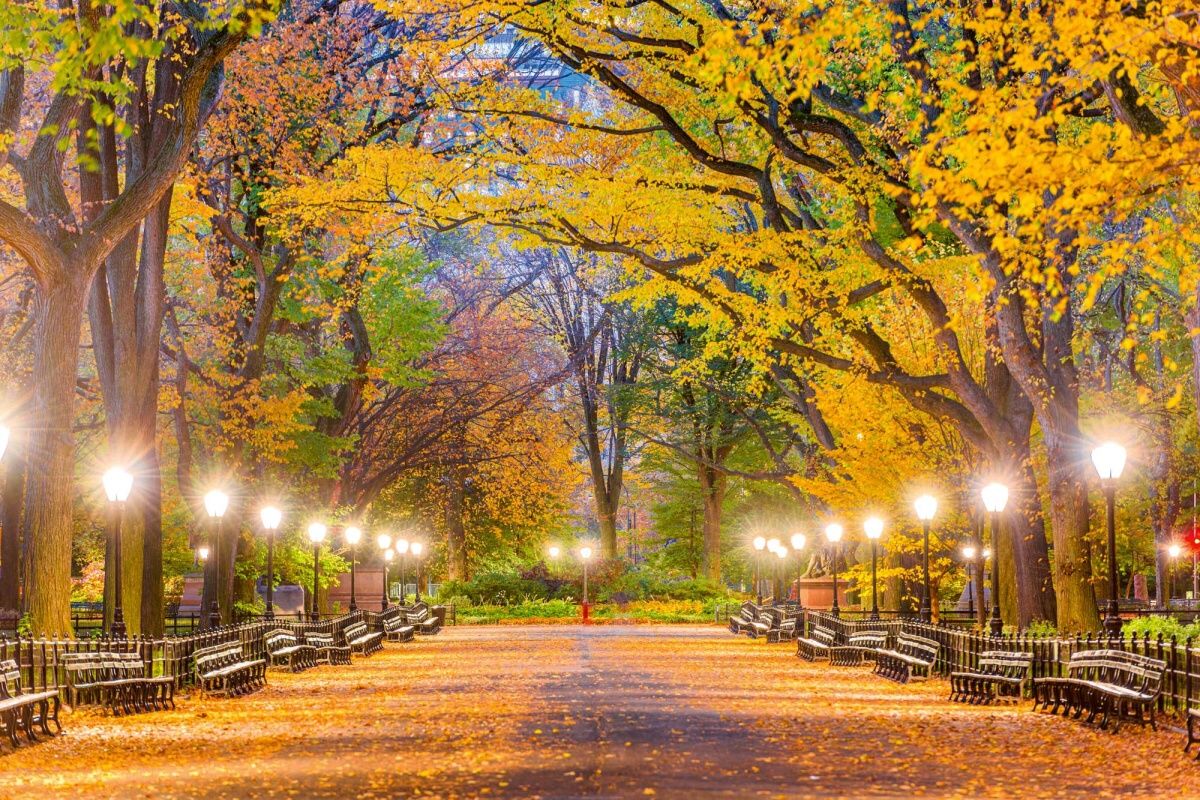 Fototapeta MS-5-3019 Central Park na jeseň 375 x 250 cm