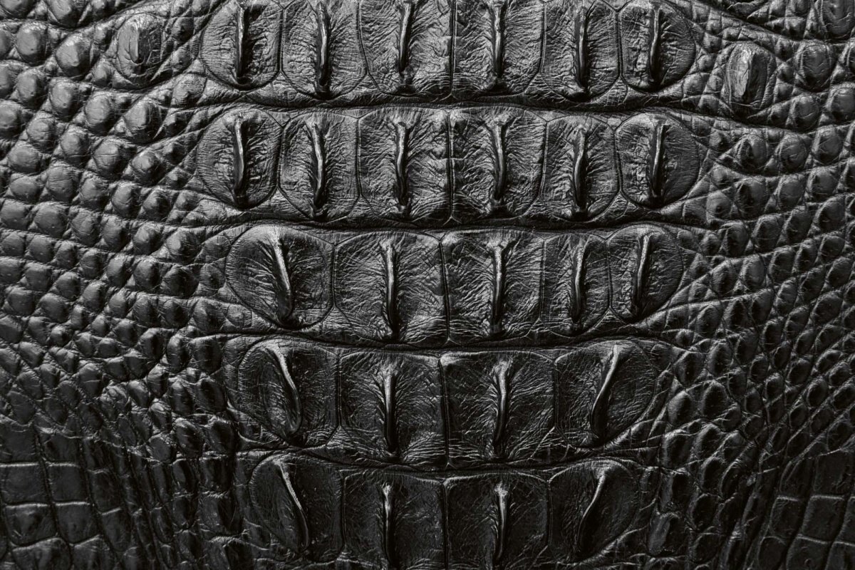 Fototapeta MS-5-2583 Sivá krokodília koža 375 x 250 cm