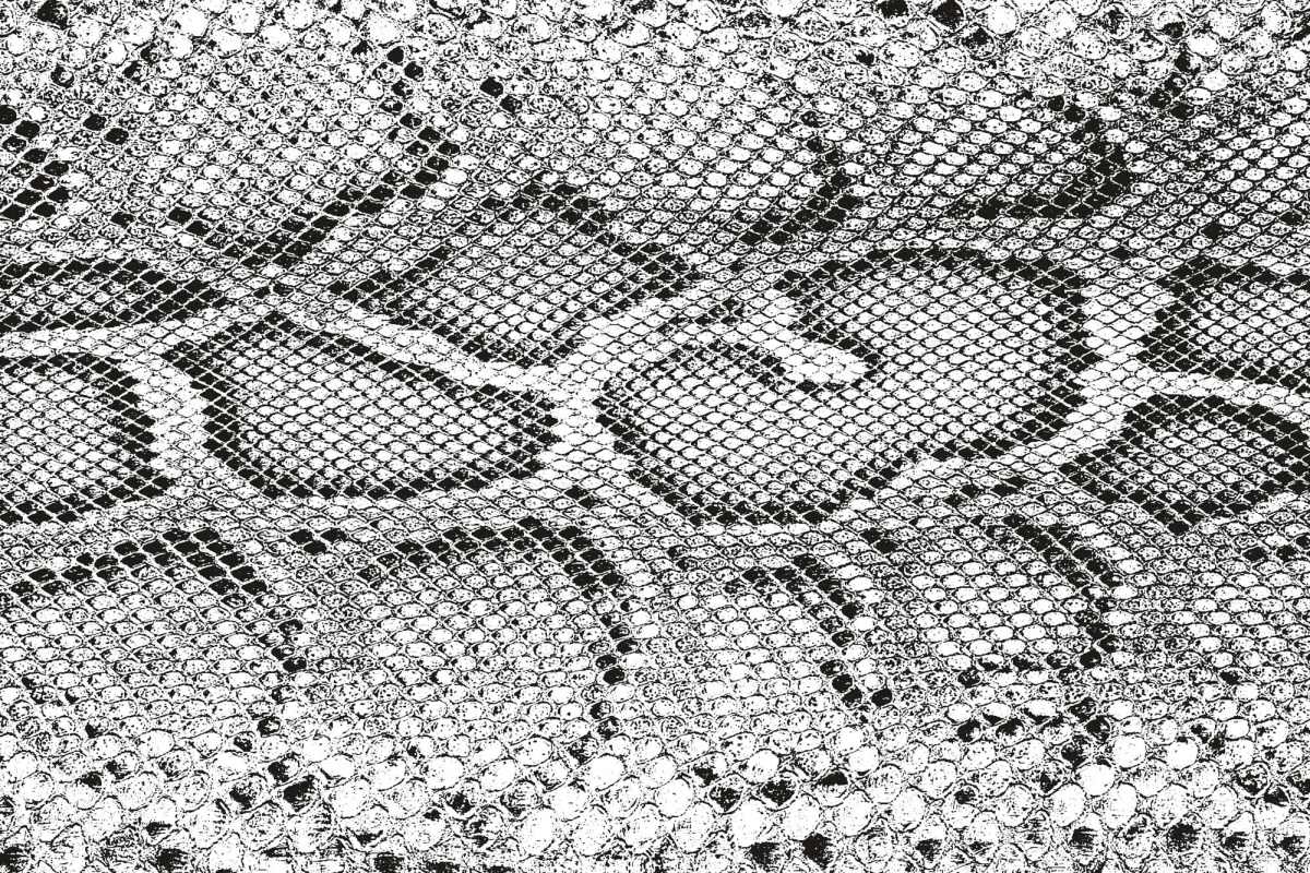 Fototapeta MS-5-2585 Krycia textúra krokodíla 375 x 250 cm