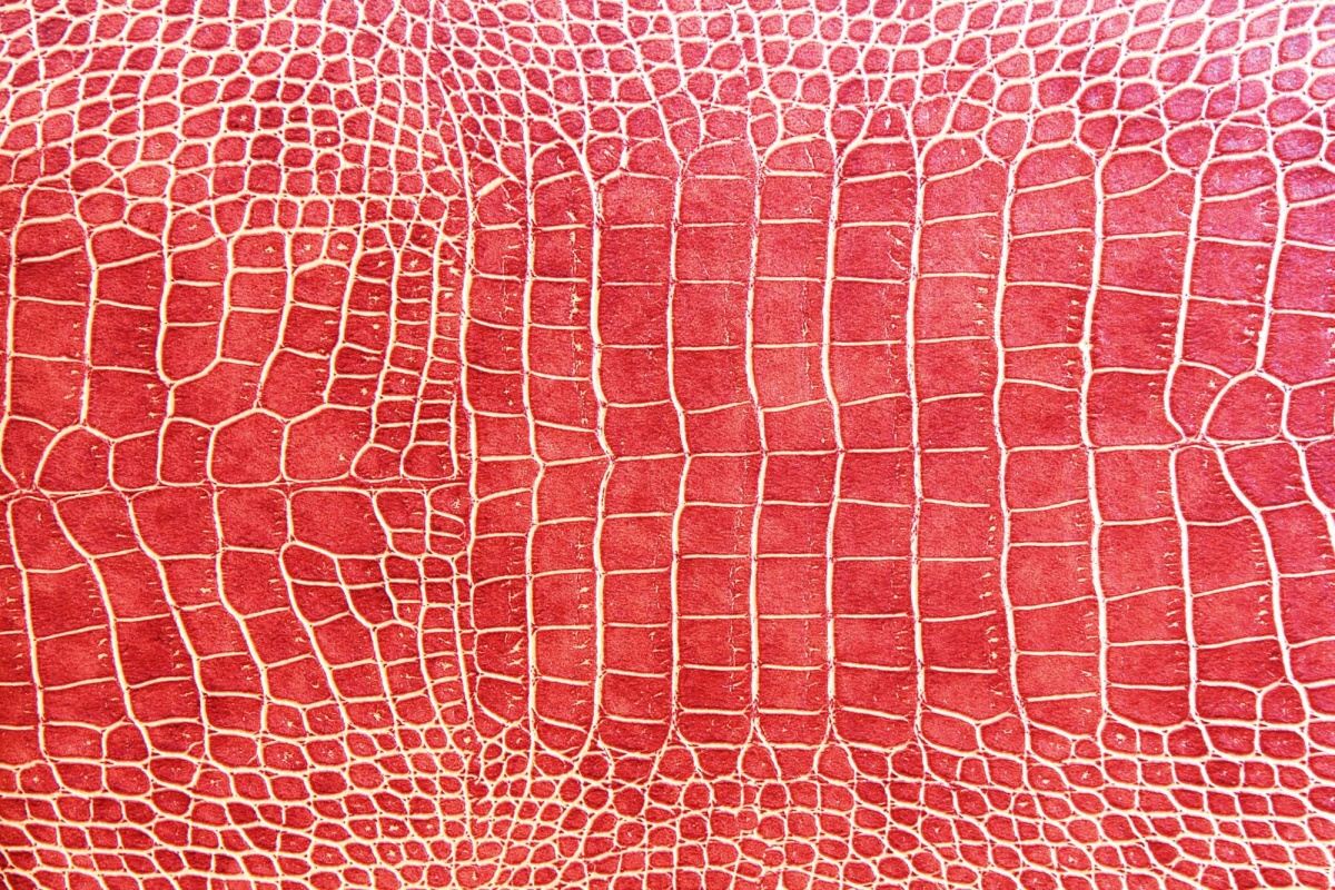 Fototapeta MS-5-2588 Textúra červenej krokodílej kože 375 x 250 cm