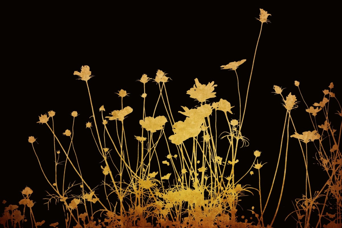 Fototapeta MS-5-1327 Zlaté kvety 375 x 250 cm