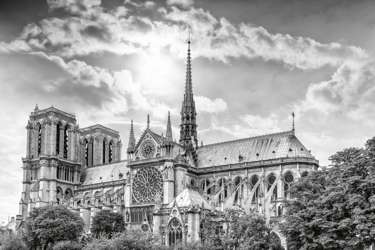 Fototapeta MS-5-1039 Katedrála v Paríži 375 x 250 cm