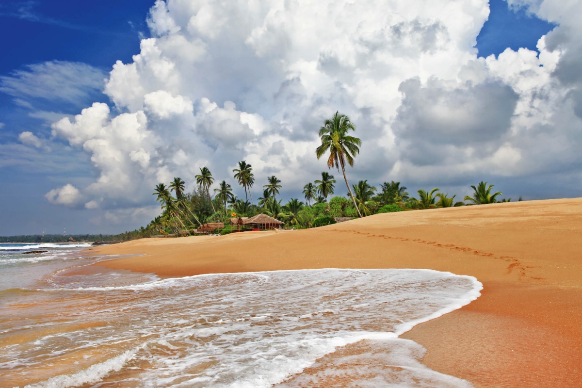 Fototapeta MS-5-3227 Divoká pláž Srí Lanka 375 x 250 cm
