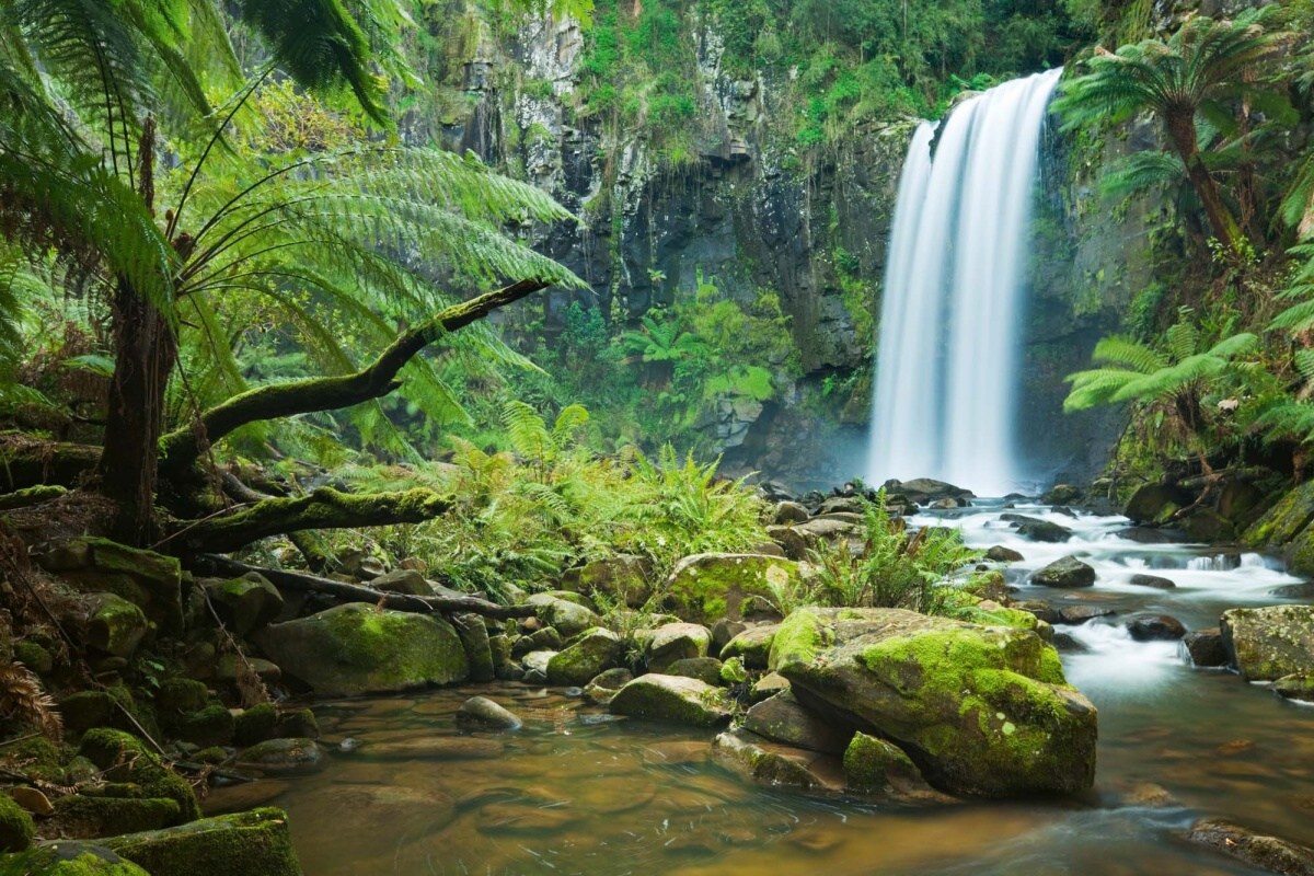 Fototapeta MS-5-1610 Vodopád v džungli 375 x 250 cm