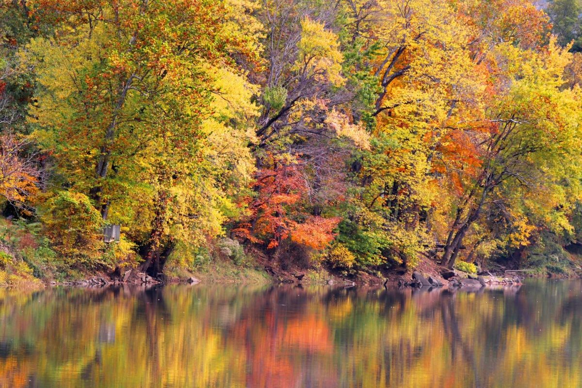 Fototapeta MS-5-1826 Odrazy jesenných stromov 375 x 250 cm