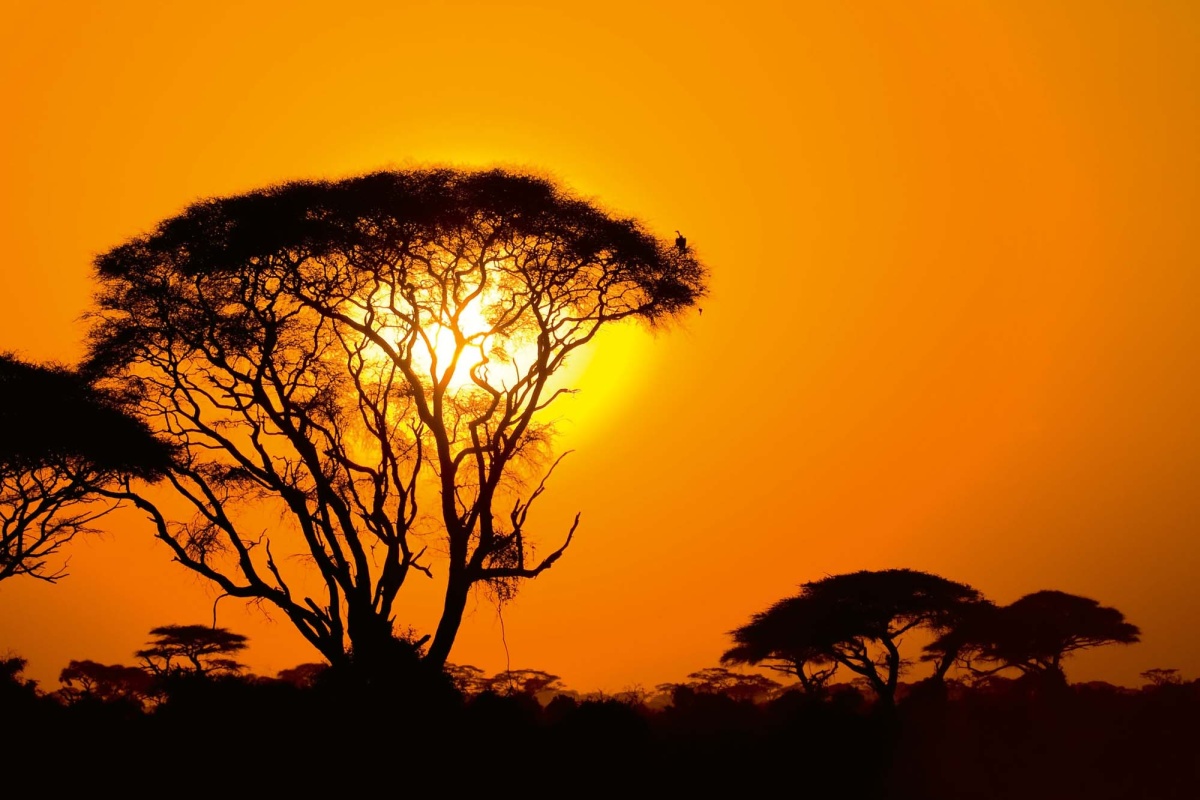 Fototapeta MS-5-1838 Africký západ slnka 375 x 250 cm