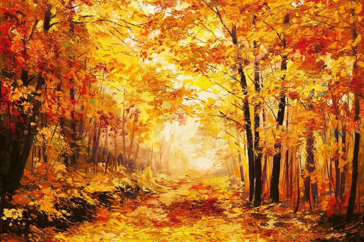 Fototapeta MS-5-2033 Farebný jesenný les 375 x 250 cm