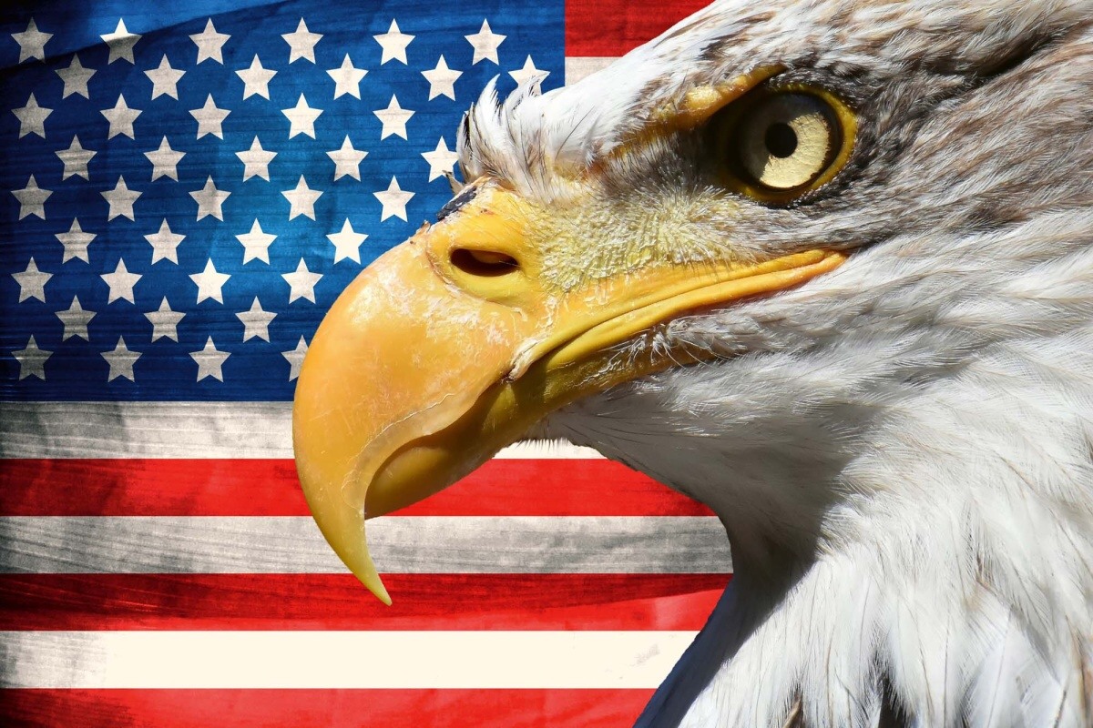 Fototapeta MS-5-2958 Portrét orla s vlajkou USA 375 x 250 cm