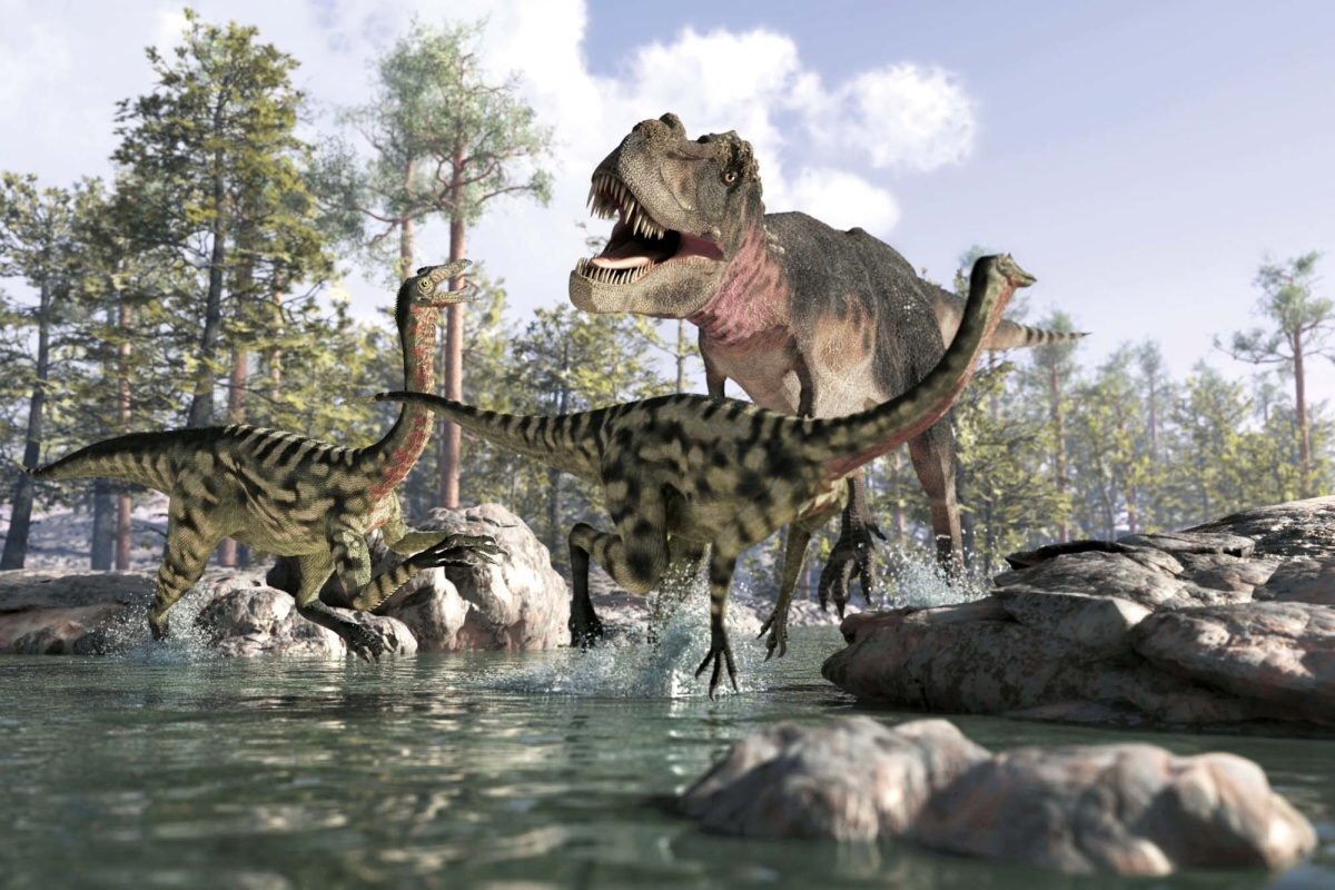 Fototapeta MS-5-0469 3D tyranosaurus rex 375 x 250 cm