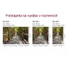 Fototapeta MS-2-0059 Mangrovový les 150 x 250 cm