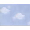 Fólie na sklo 10275 Oblaky - šírka 45 cm
